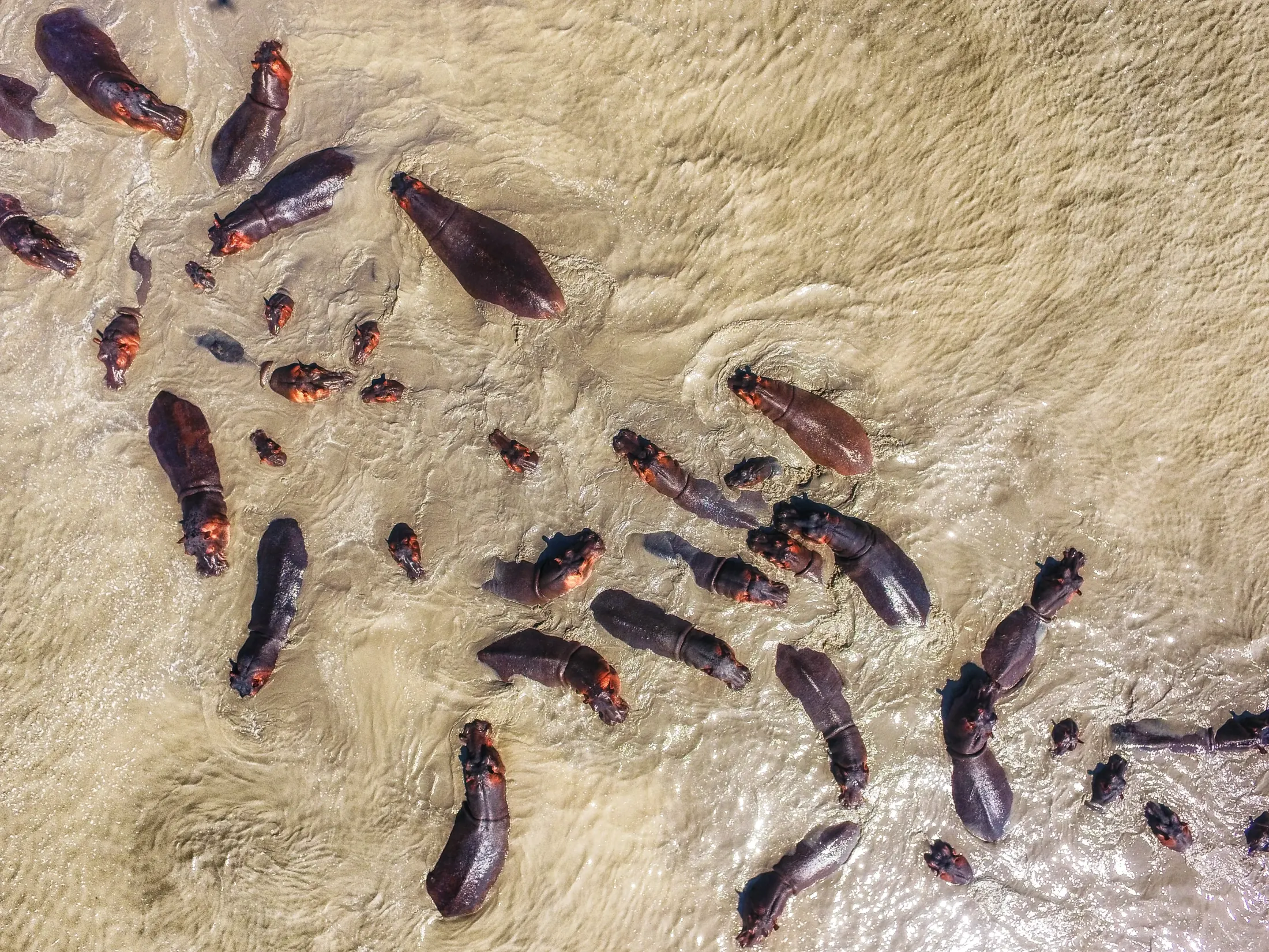 Gallery photograph from Nje Bush Camp